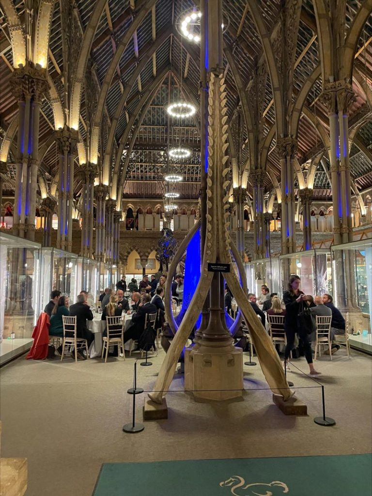 Oxford University Museum of Natural History